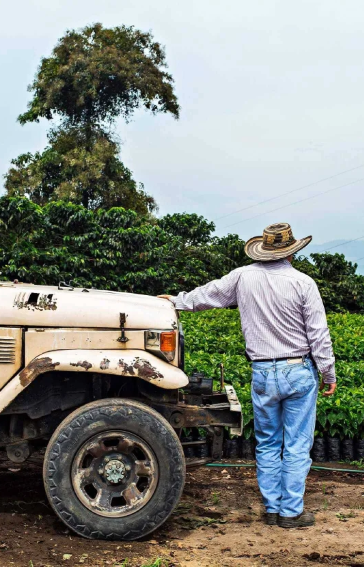 Sustentabilidade na Cafeicultura